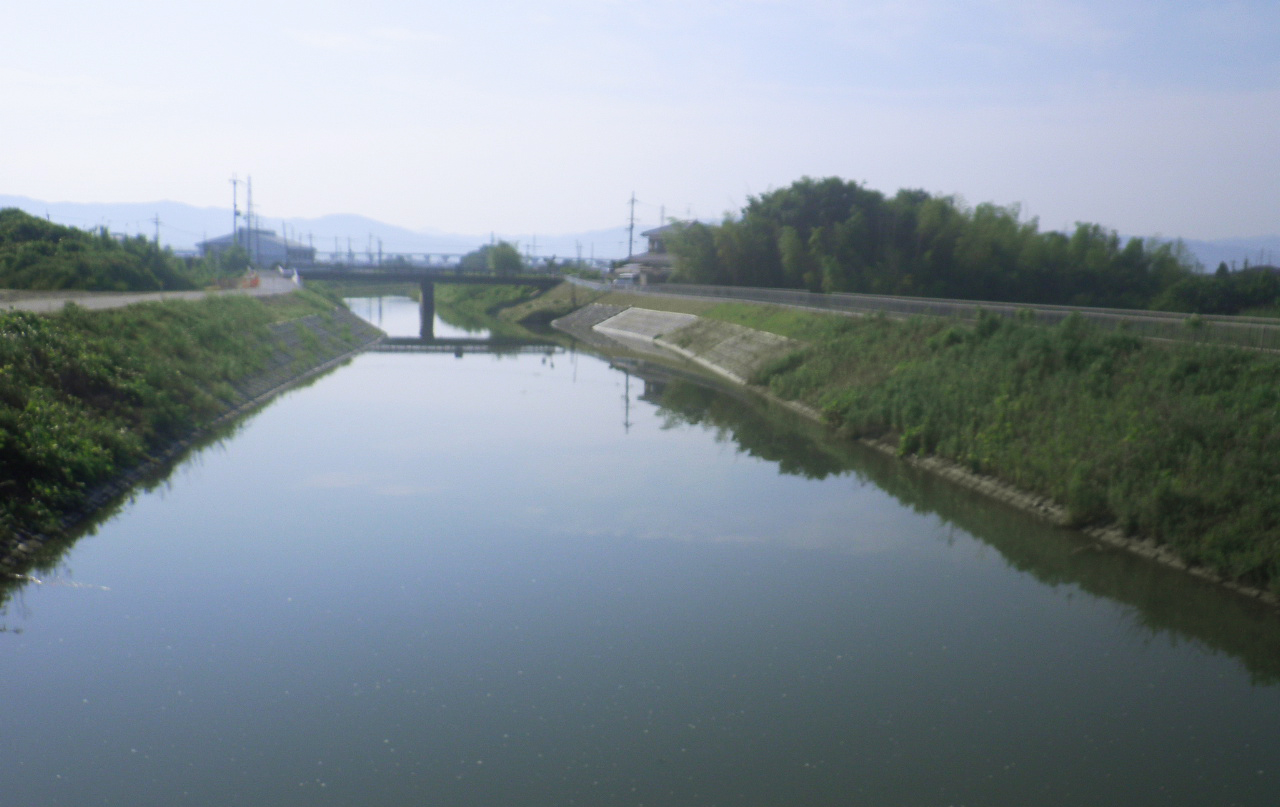 飛鳥川 護岸工事