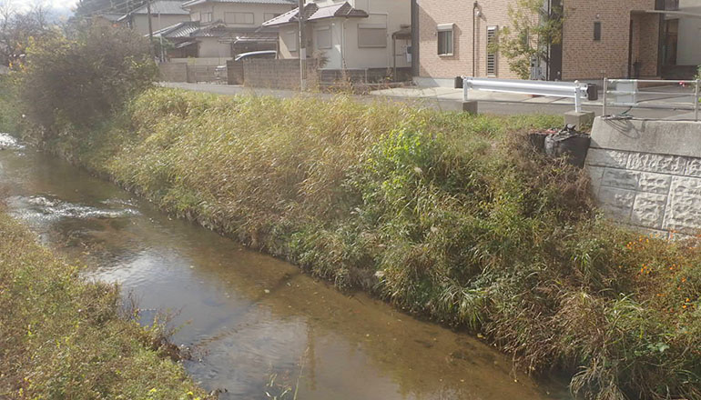 米川　護岸工事（着手前）